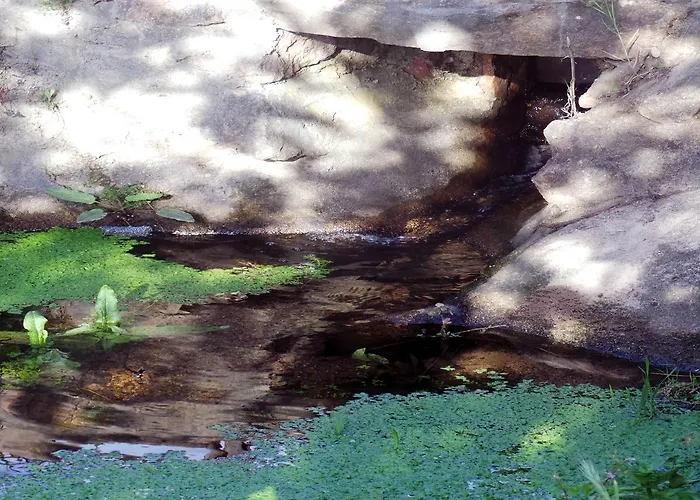 호텔 Isulella & Restaurant 포르토베쉬오