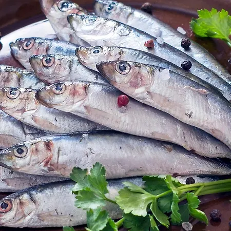 Isulella & Restaurant Ξενοδοχείο