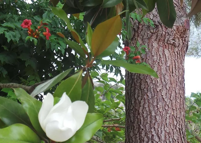 Isulella & Restaurant فندق بورتو فيكشْيو